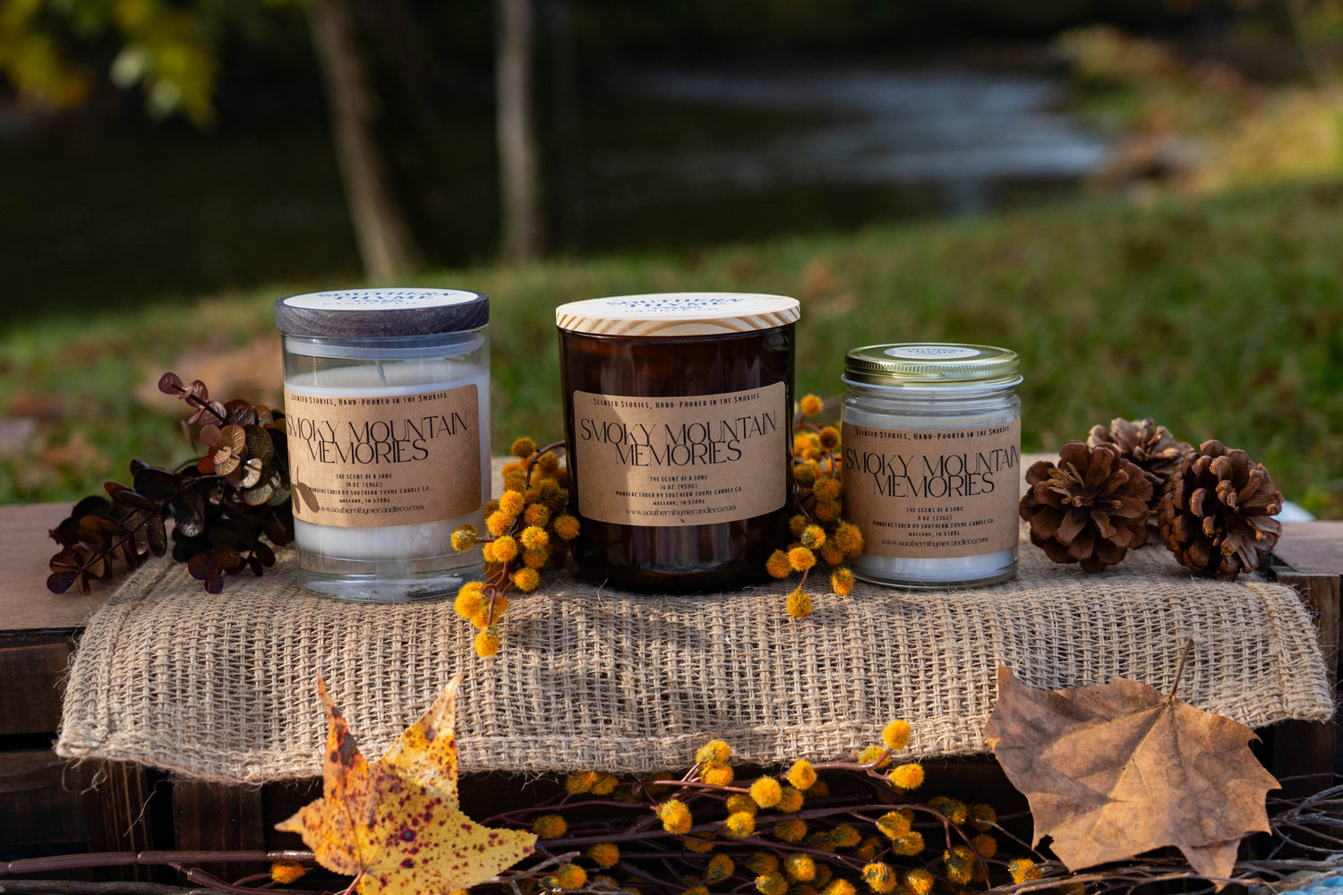 Smoky Mountain Memories