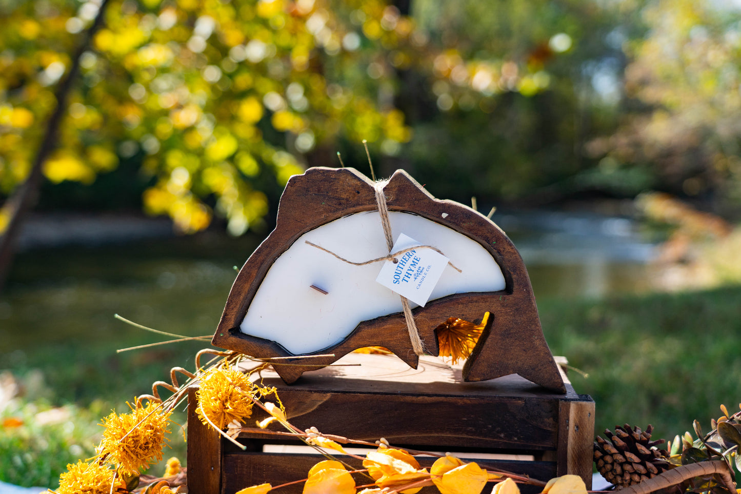 Ain’t That Some Bass Hole