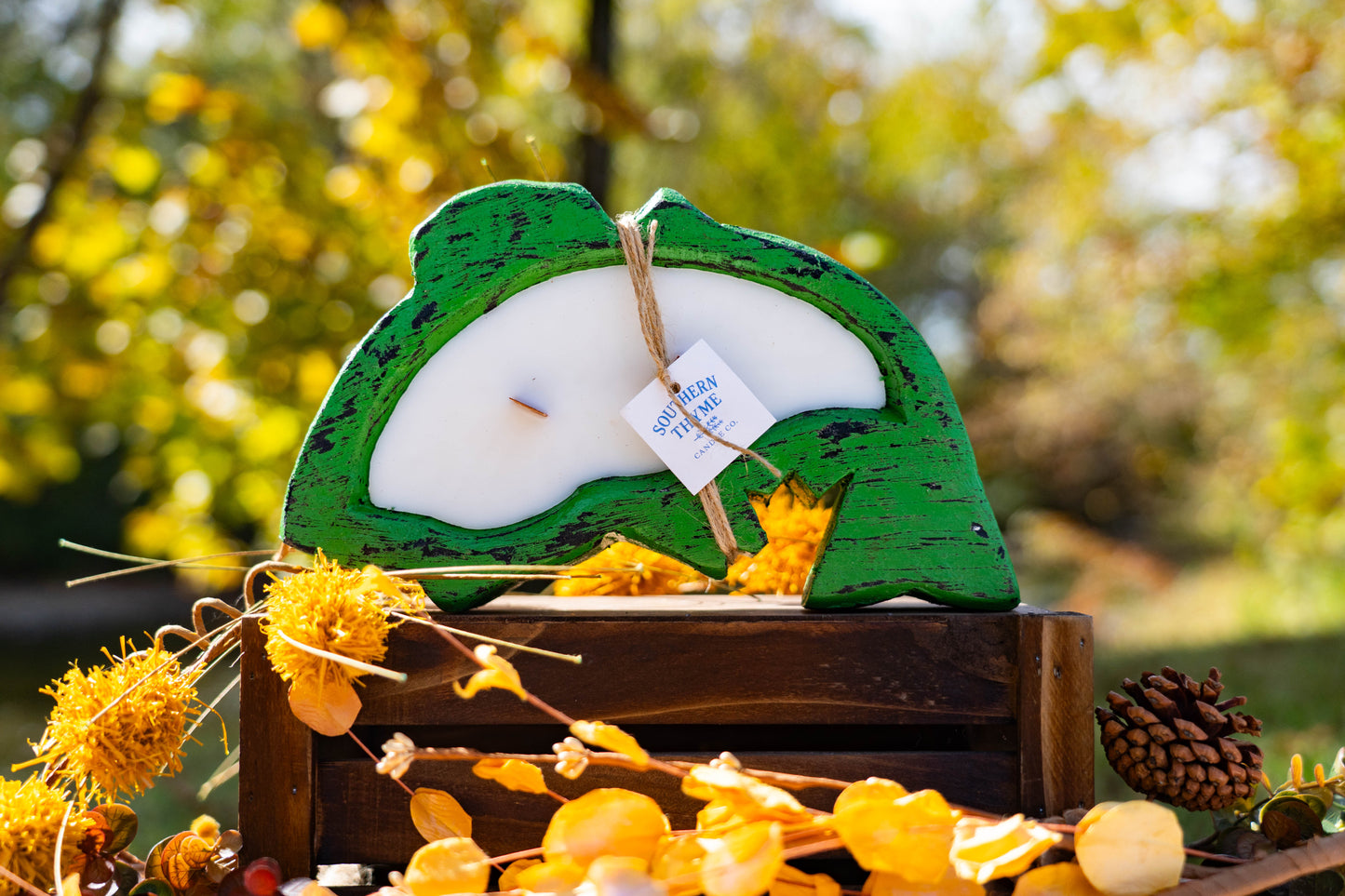 Ain’t That Some Bass Hole