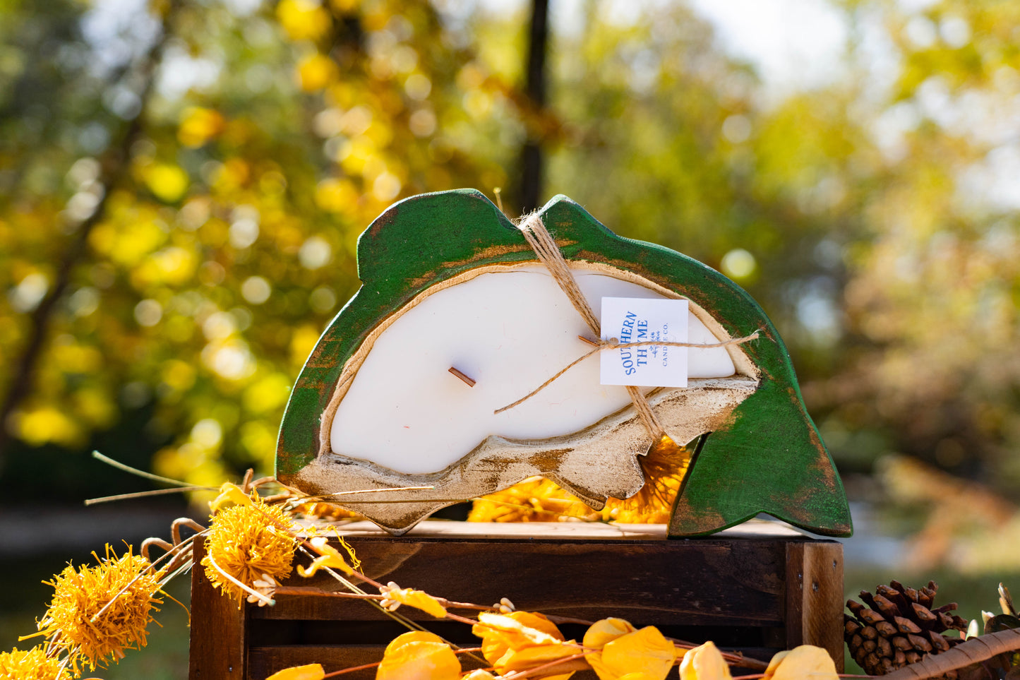 Ain’t That Some Bass Hole