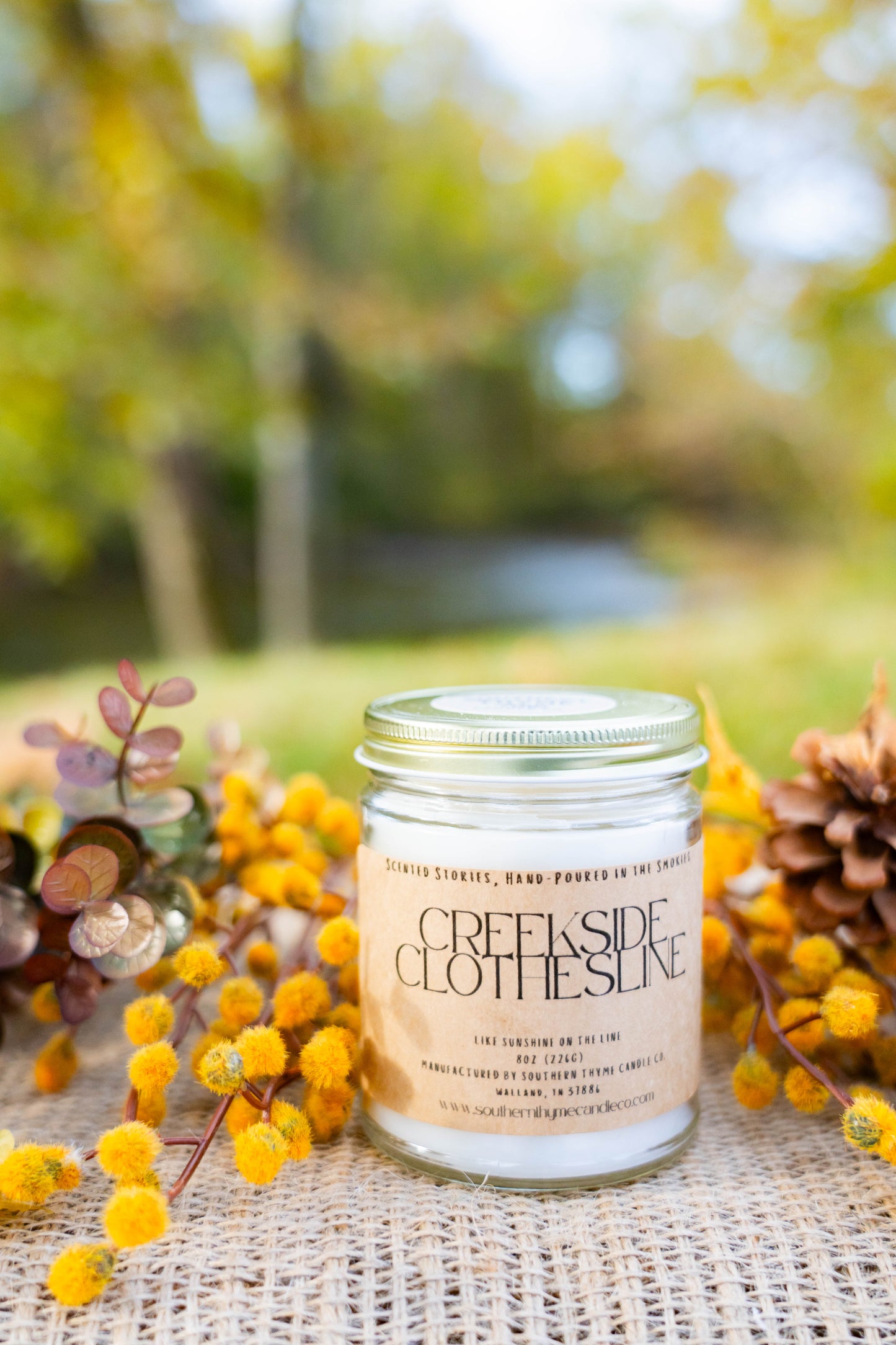 Creekside Clothesline