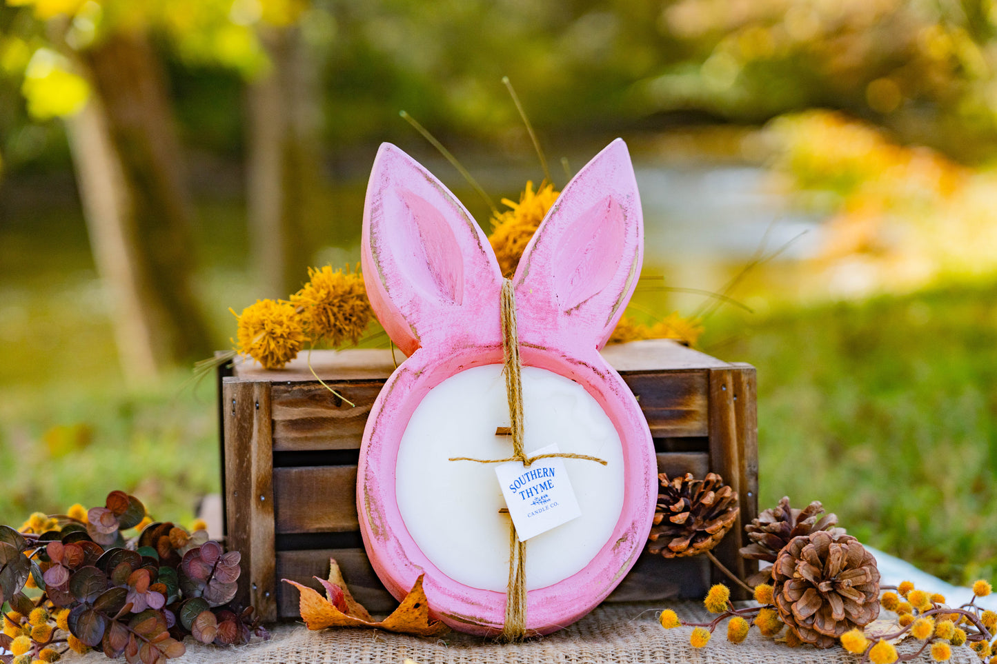 Honey Bunny Shortcake