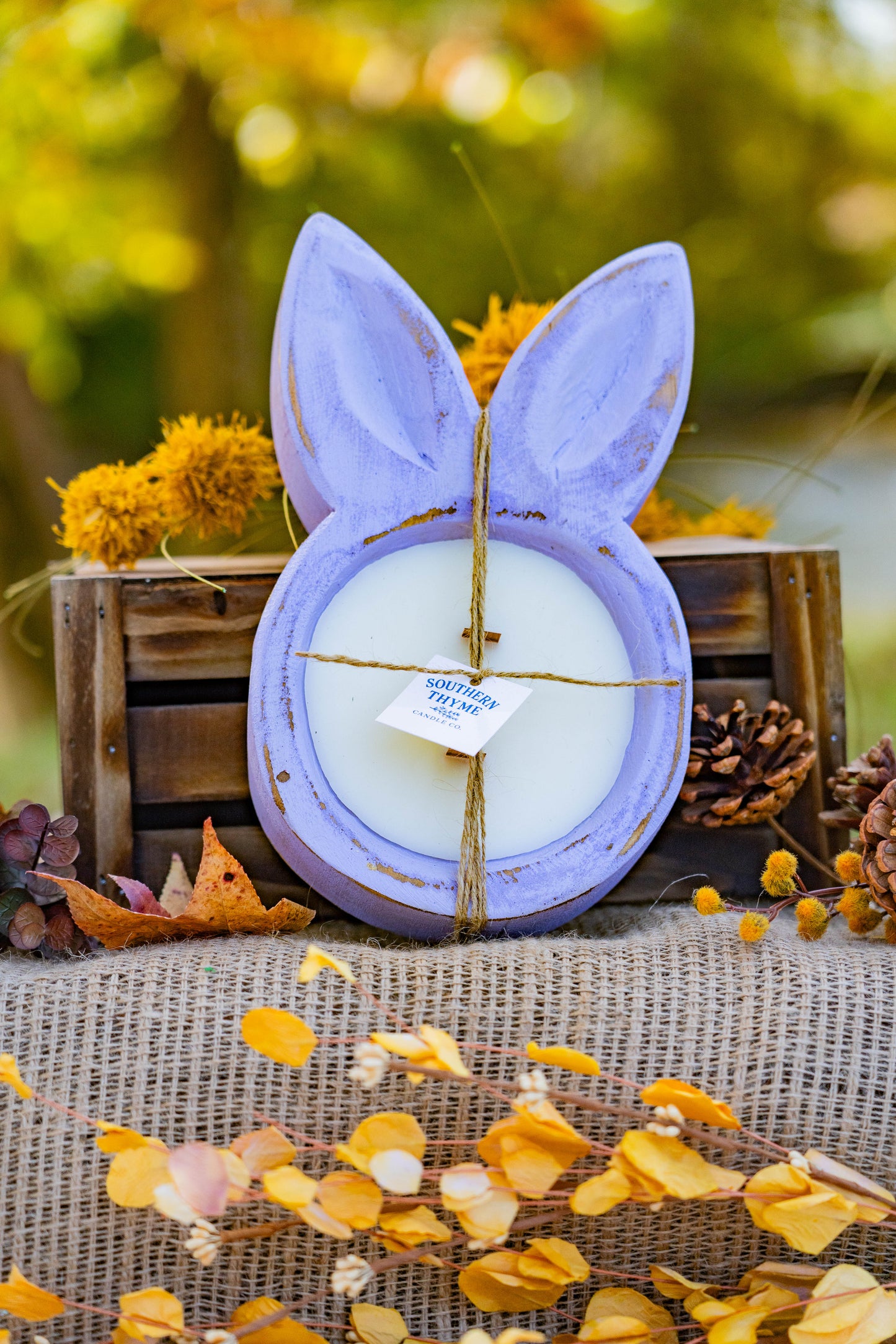 Honey Bunny Shortcake