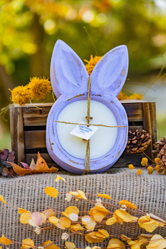 Honey Bunny Shortcake