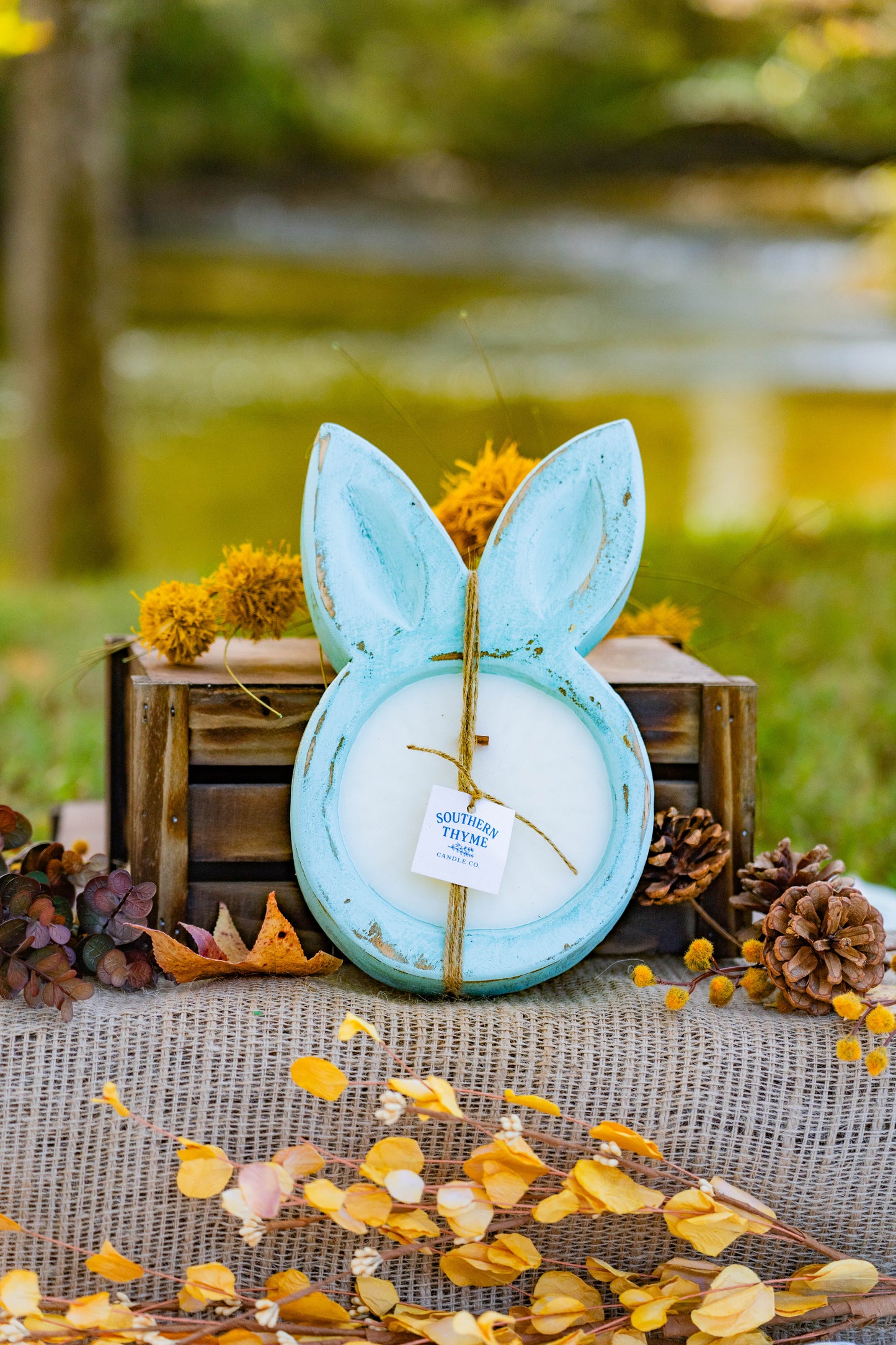 Honey Bunny Shortcake