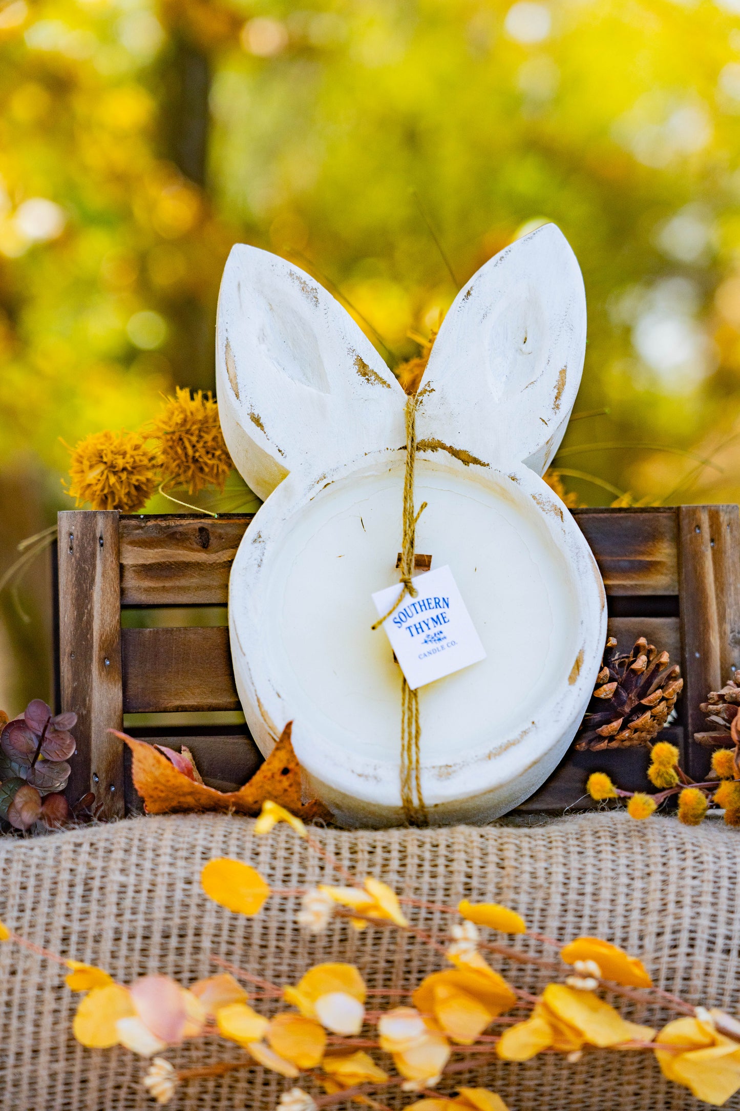 Honey Bunny Shortcake