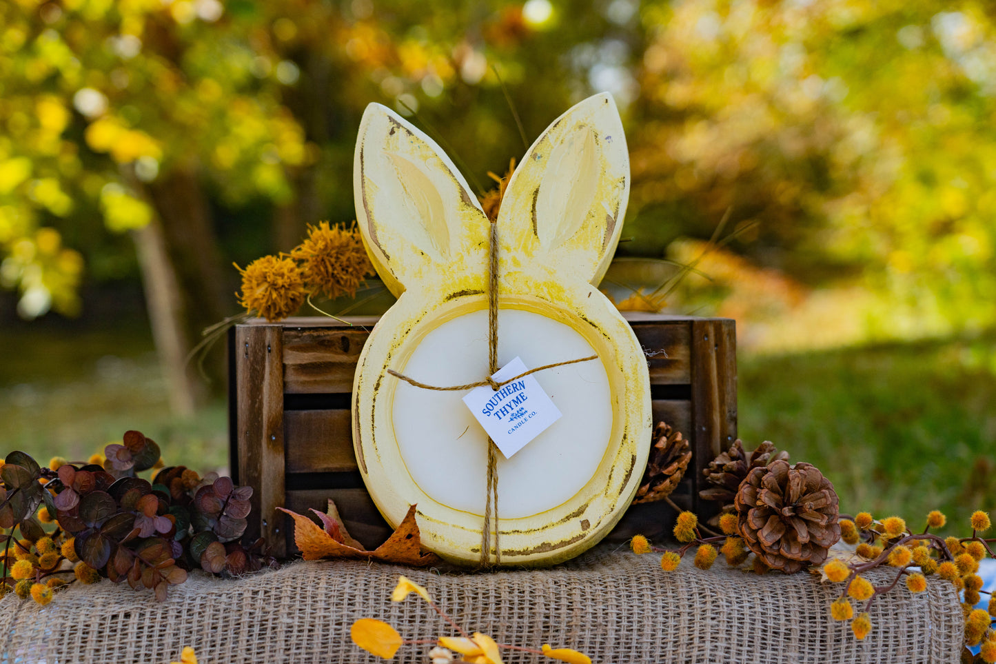 Honey Bunny Shortcake