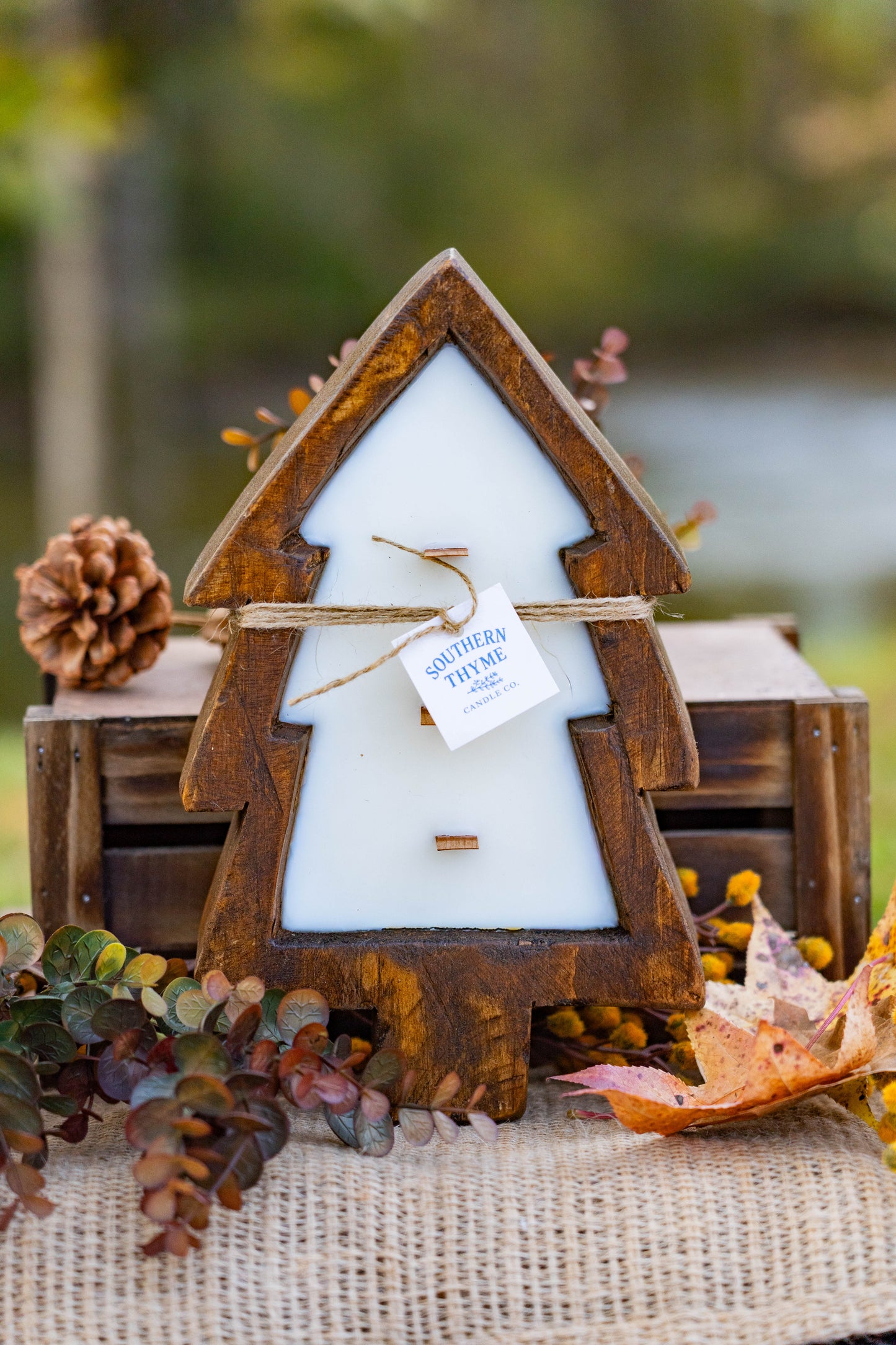 Moments in the Mountains