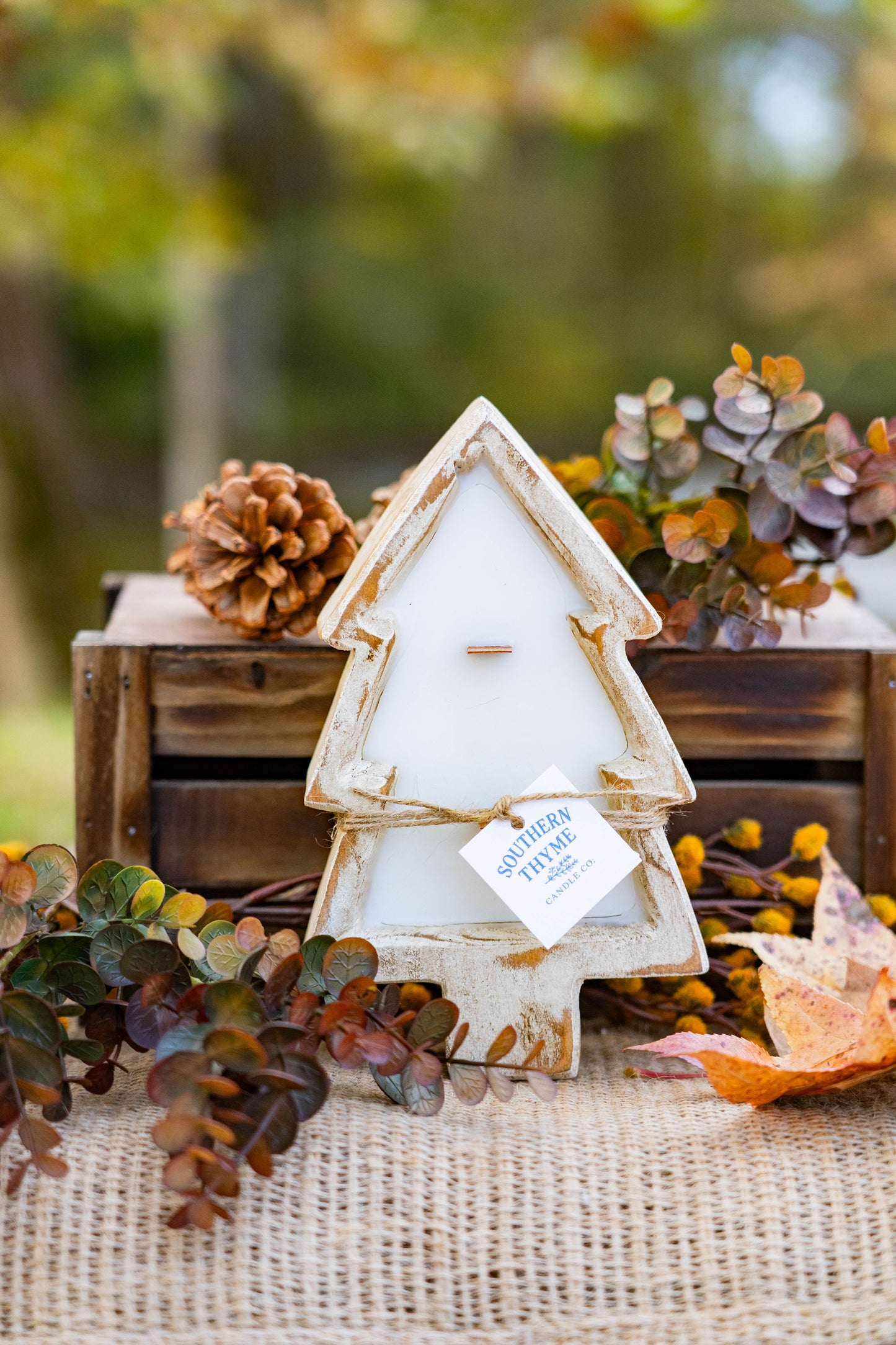 Moments in the Mountains