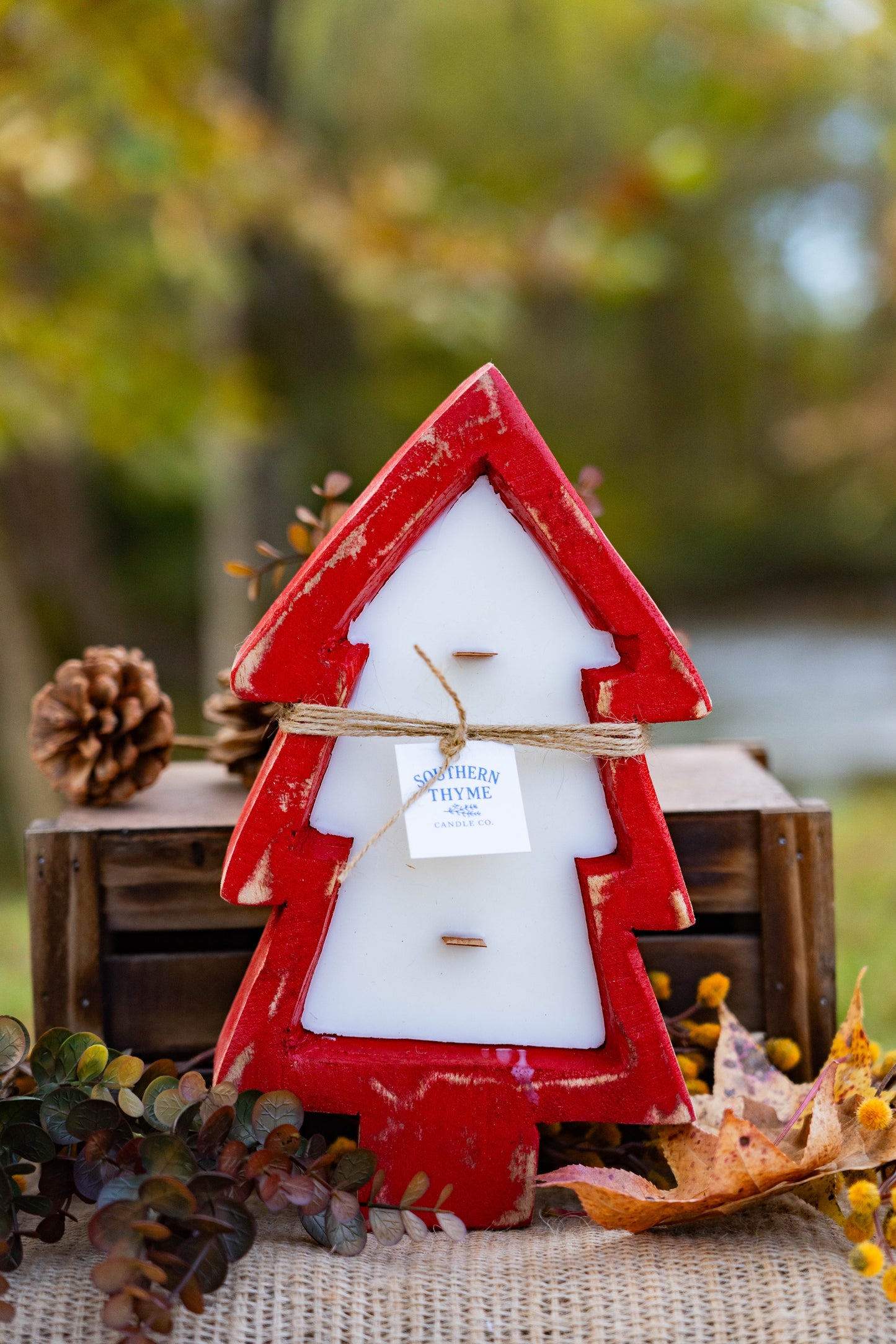 Moments in the Mountains