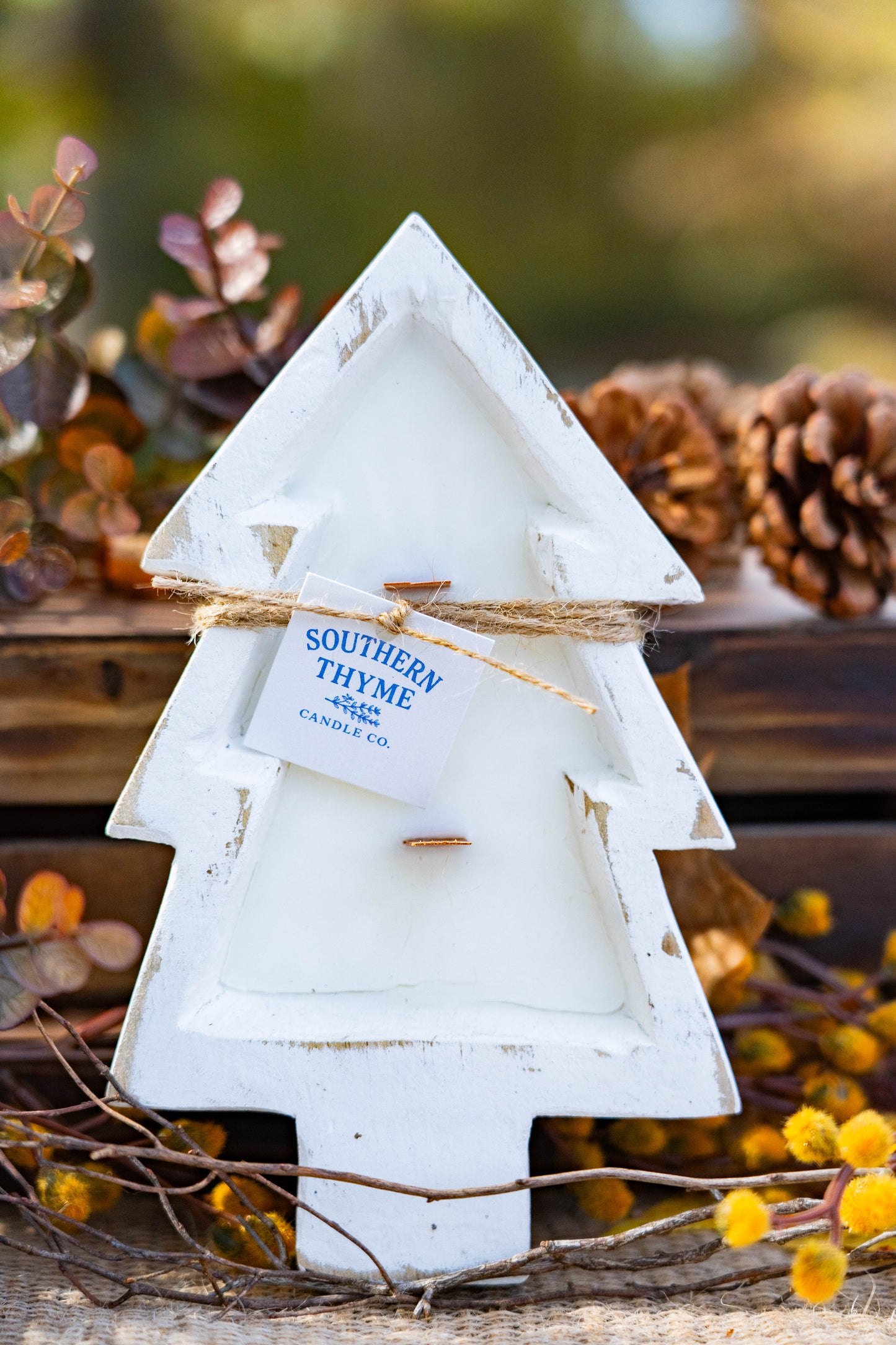 Moments in the Mountains