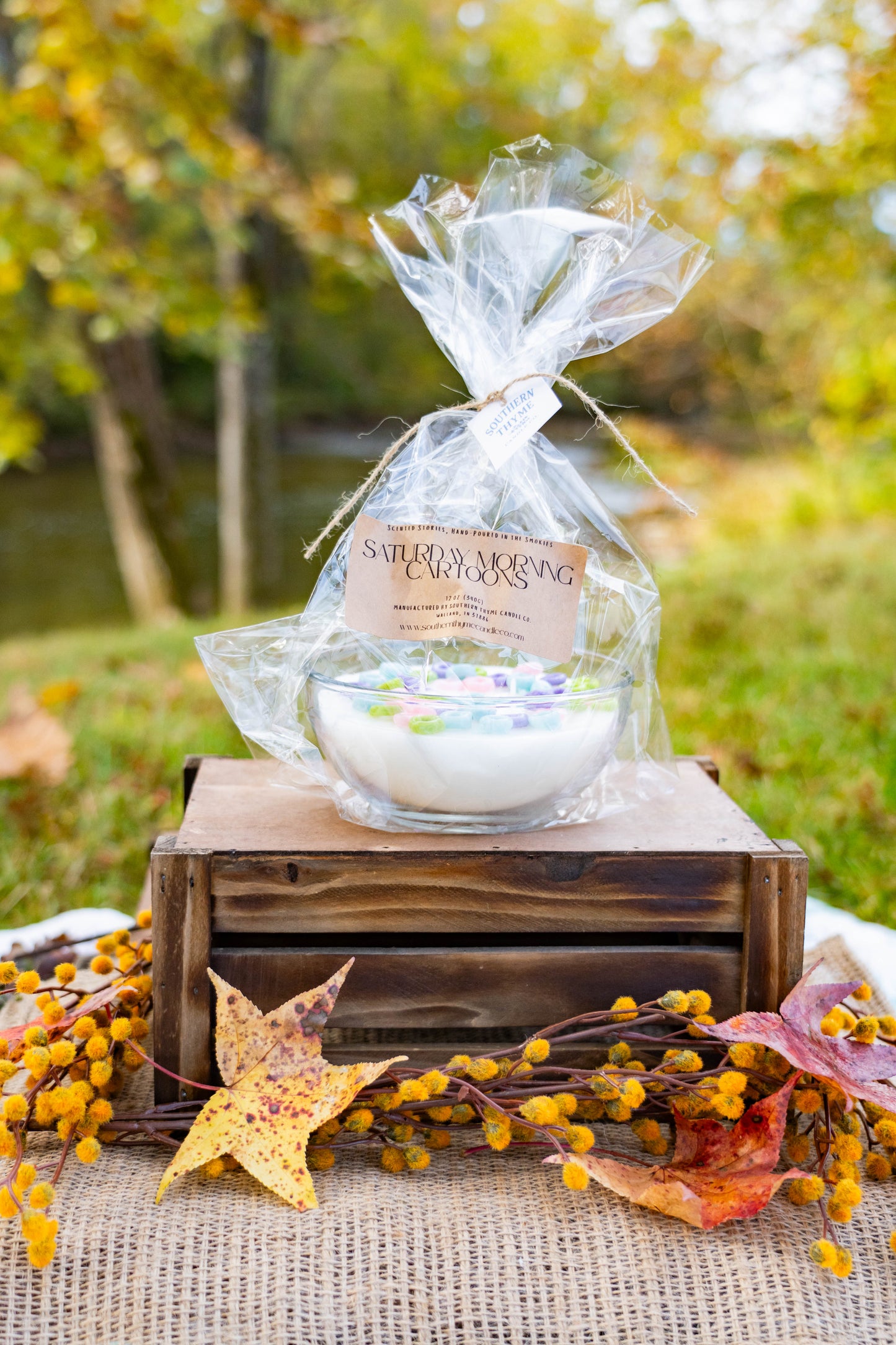 Saturday Morning Cartoons