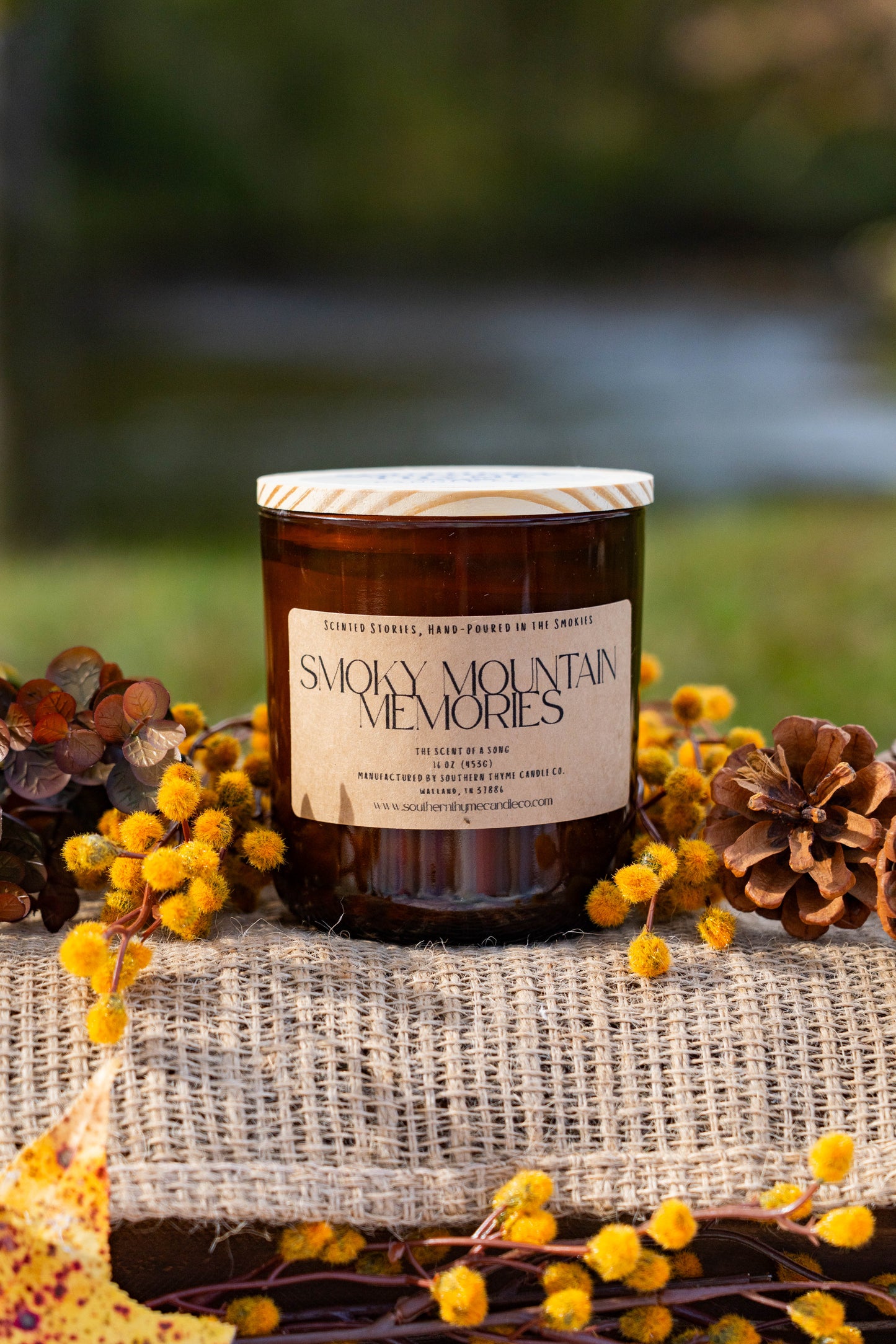 Smoky Mountain Memories