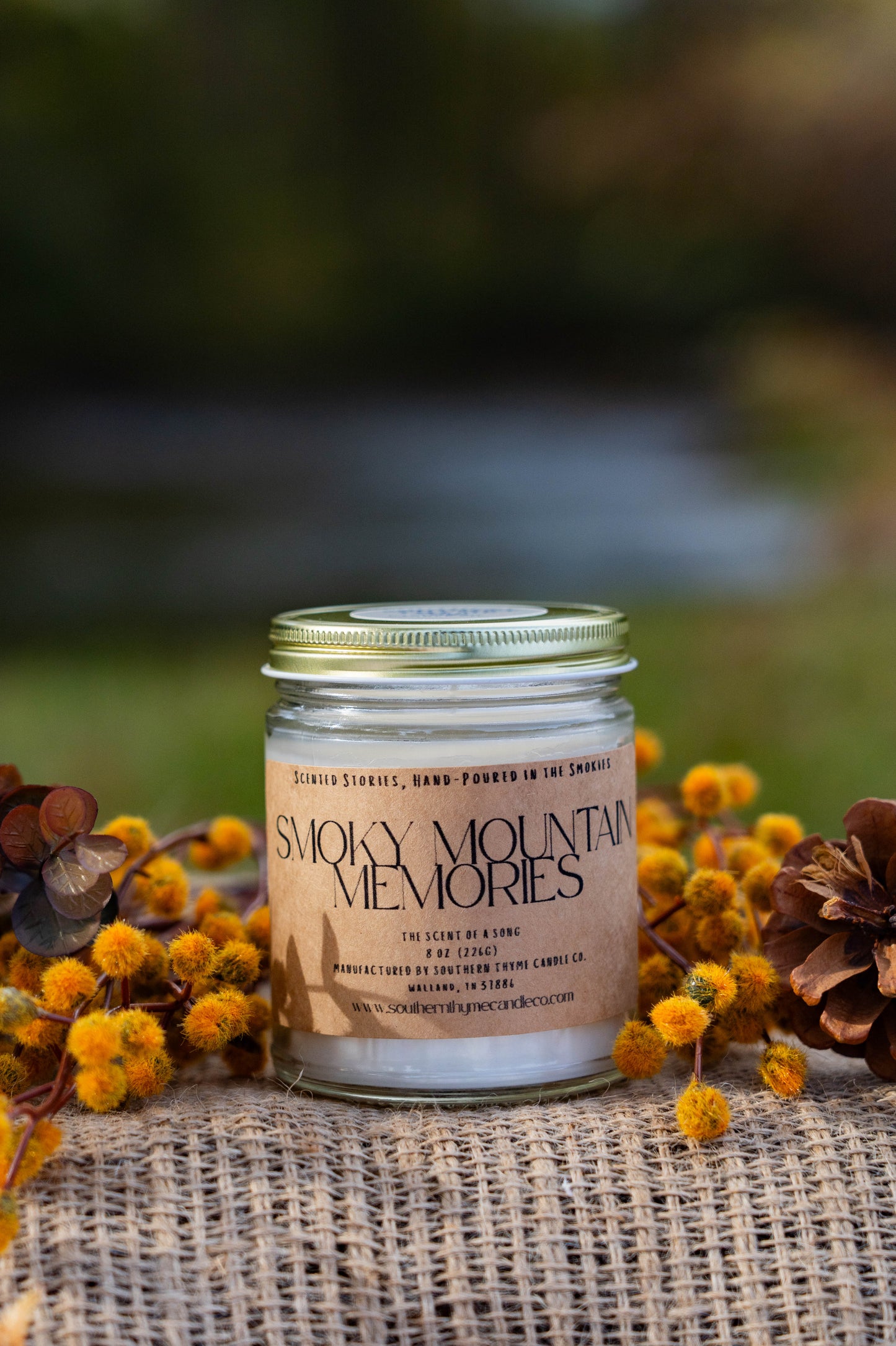 Smoky Mountain Memories