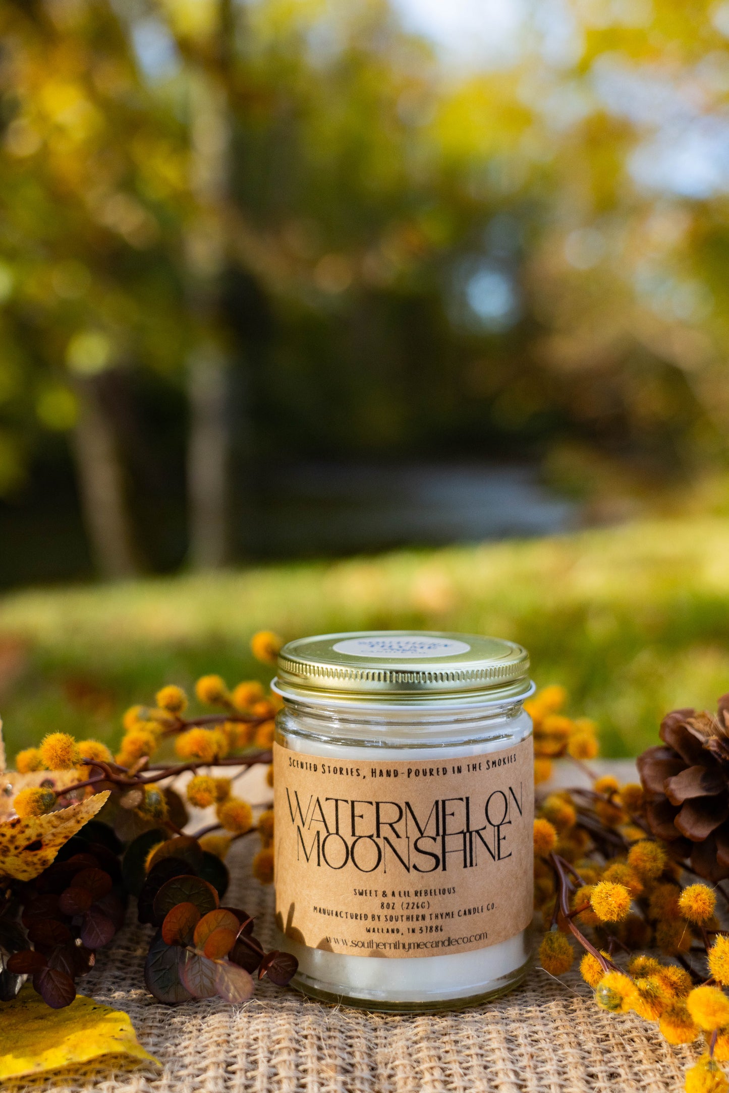 Watermelon Moonshine